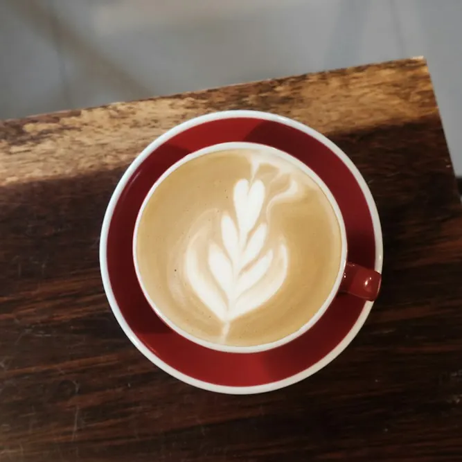 Cappuccino s latte artom, pogled odozgo